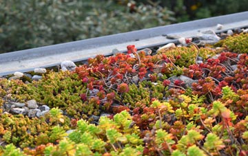 the cost of Bogside green roof installation