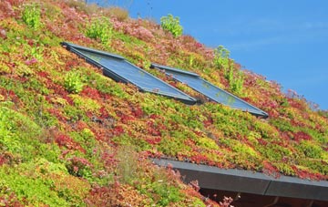 Bogside living roof systems